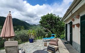 Il Giardino Di Piero - Lt-0029