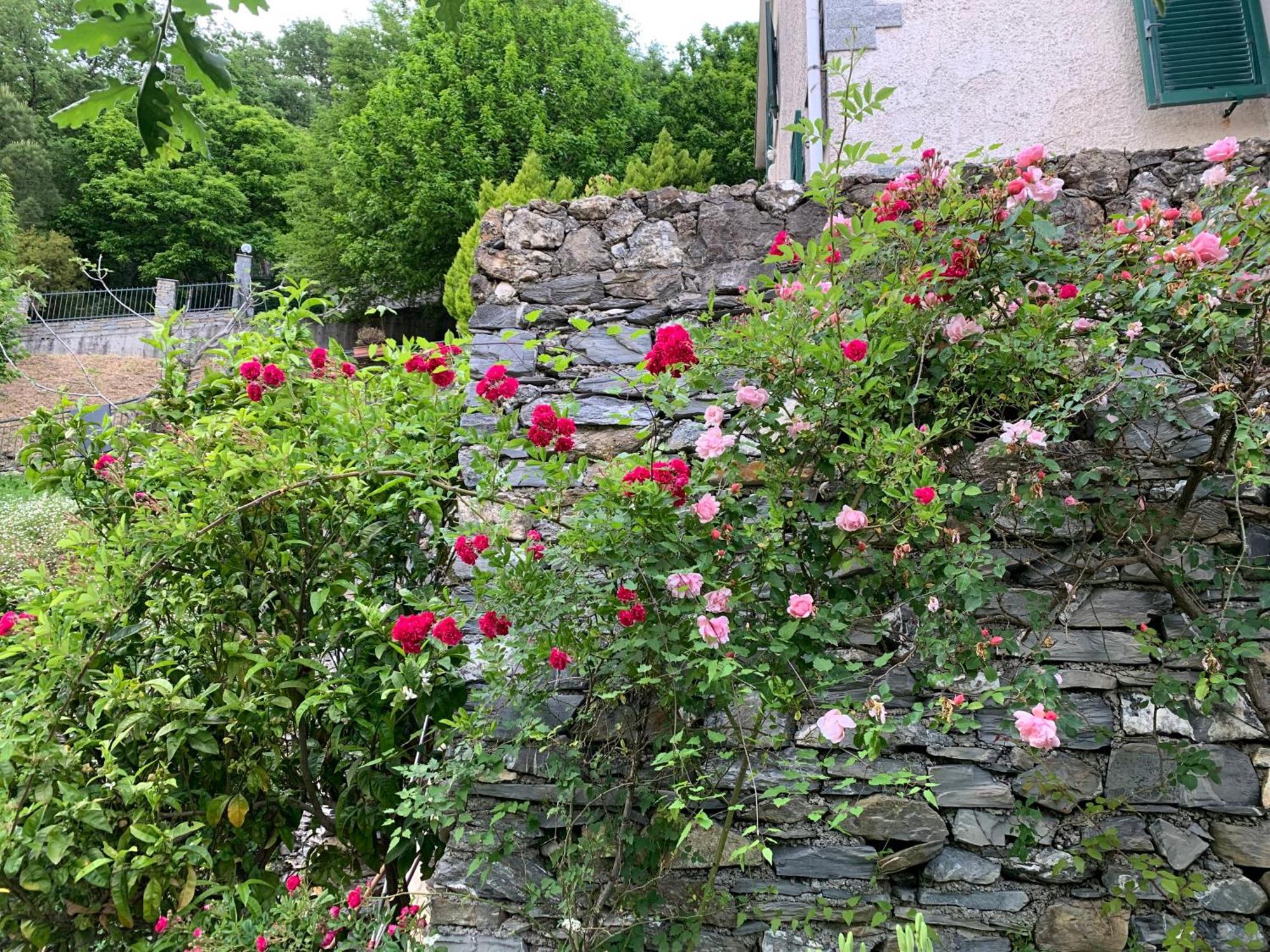 Il Giardino Di Piero - Lt-0029 Villa Salto Chiesa Buitenkant foto